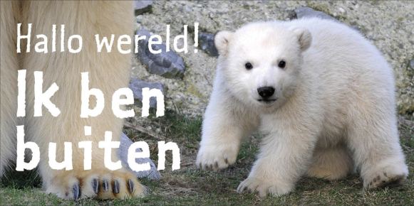 Nieuw in Diergaarde Blijdorp: Vicks