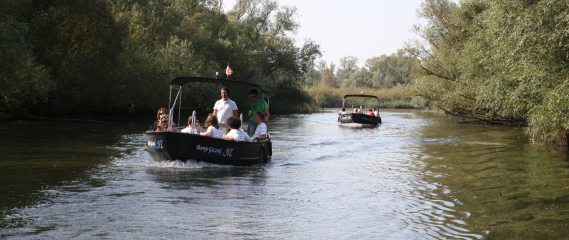 Bootje Gezond