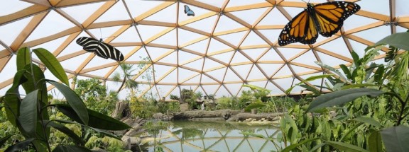 Amazonica, een enorm tropisch gebied in Diergaarde Blijdorp