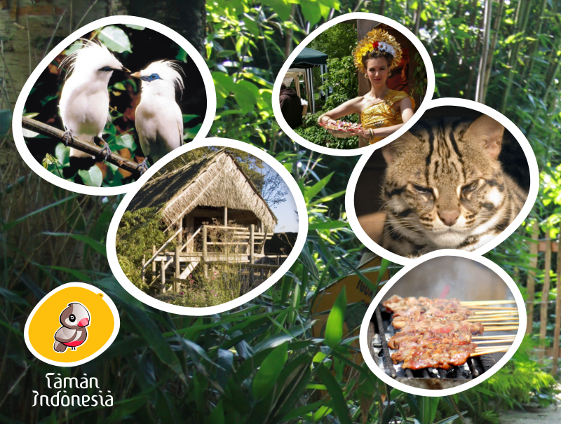 Collage dierenpark Taman Indonesia